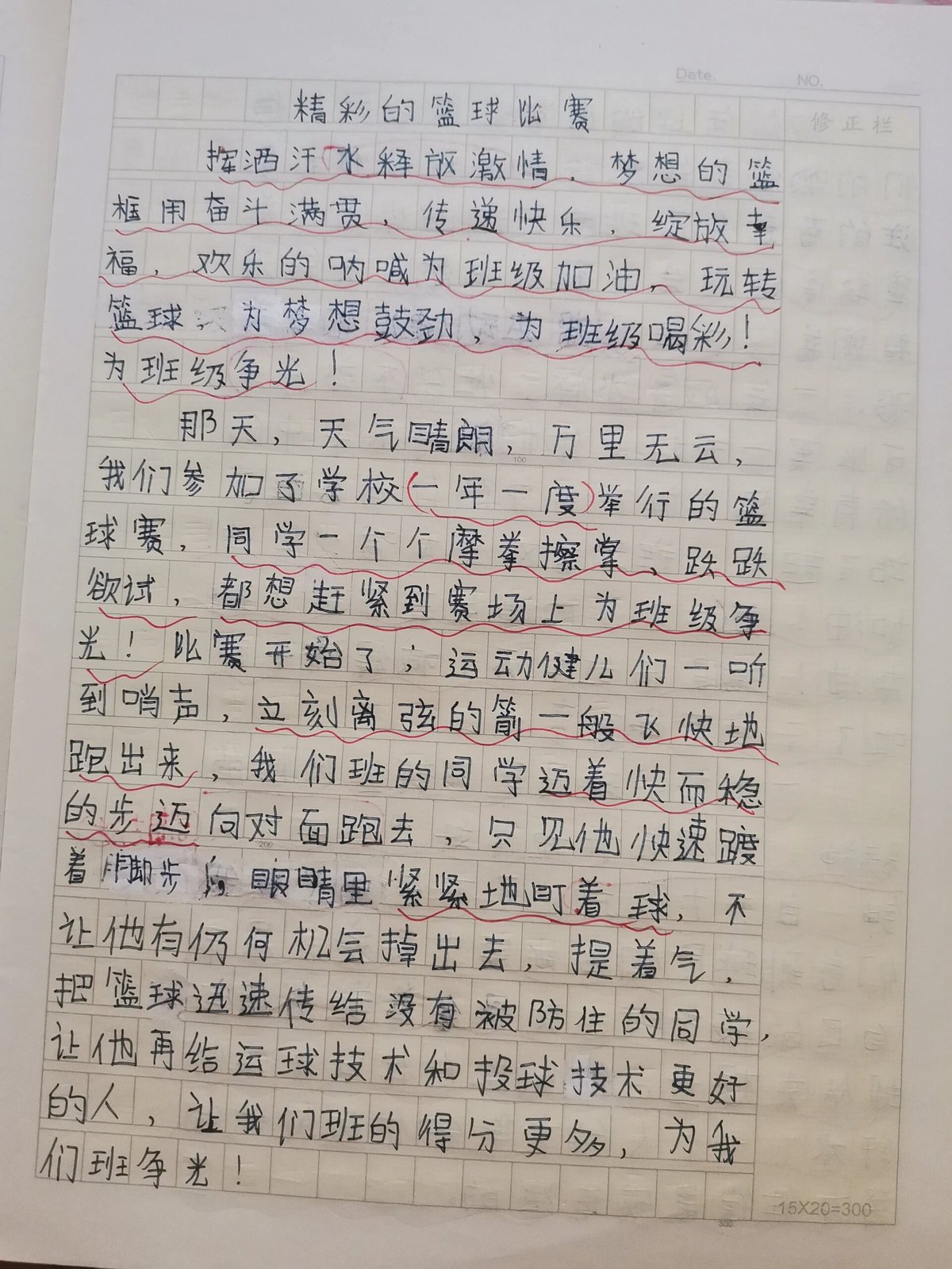 篮球训练心得体会300字左右作文三年级